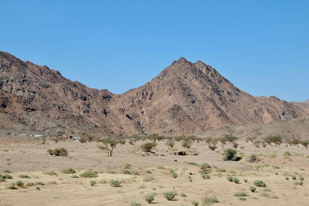 saoedi arabië 2025 11 06 (30)